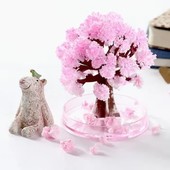 Magické stromy Sakura a vánoční stromeček