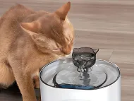 Inteligentní automatická fontána pro domácí mazlíčky VERK - 2 l
