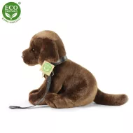 Plyšový pes labrador - 25 cm - ECO-FRIENDLY - Rappa