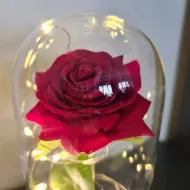 Svítící věčná růže v luxusním balení