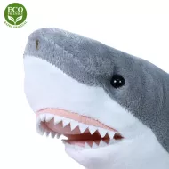 Plyšový žralok - 36 cm - Rappa