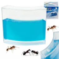 Akvárium pro mravence