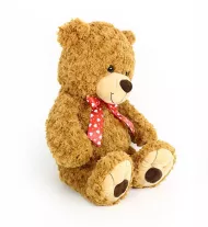 velký plyšový medvěd Teddy 63 cm