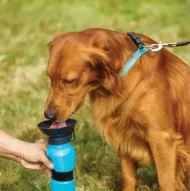 Cestovní láhev pro psy s miskou - 500 ml - DOGS Collection