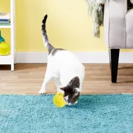 Pohyblivý míček pro mazlíčky